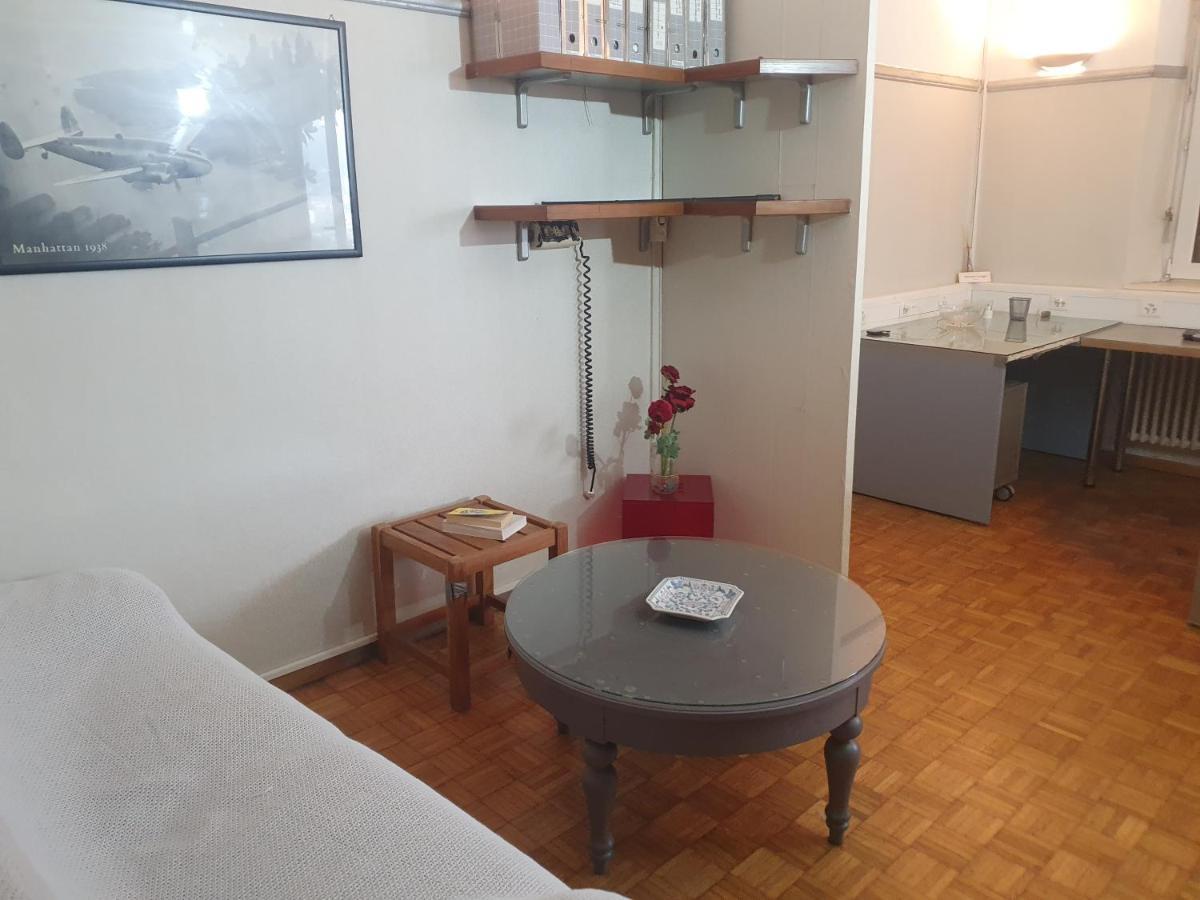 Central Lugano Family Flat 2 Bedrooms Lake View מראה חיצוני תמונה
